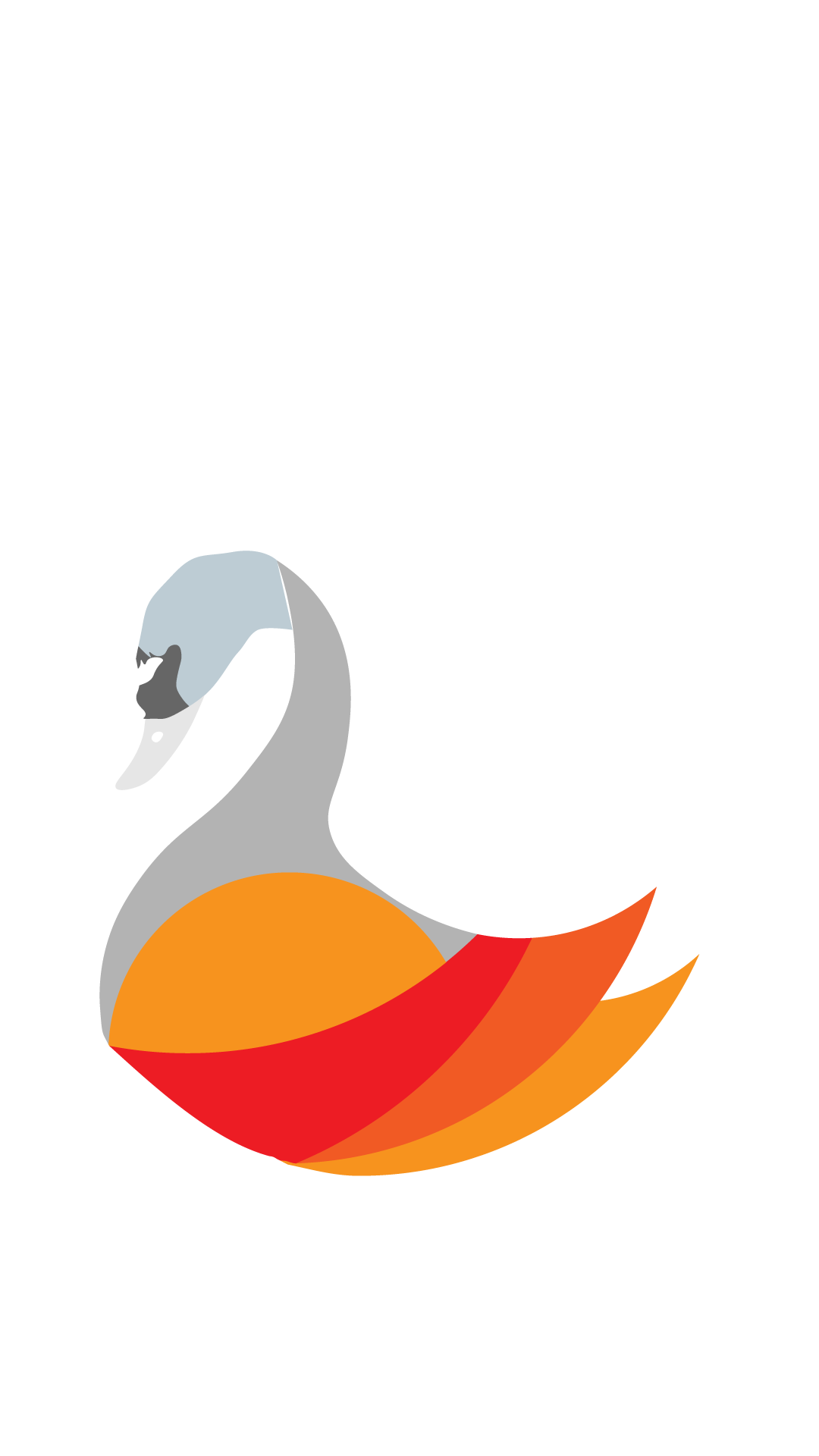 Duck Illustration