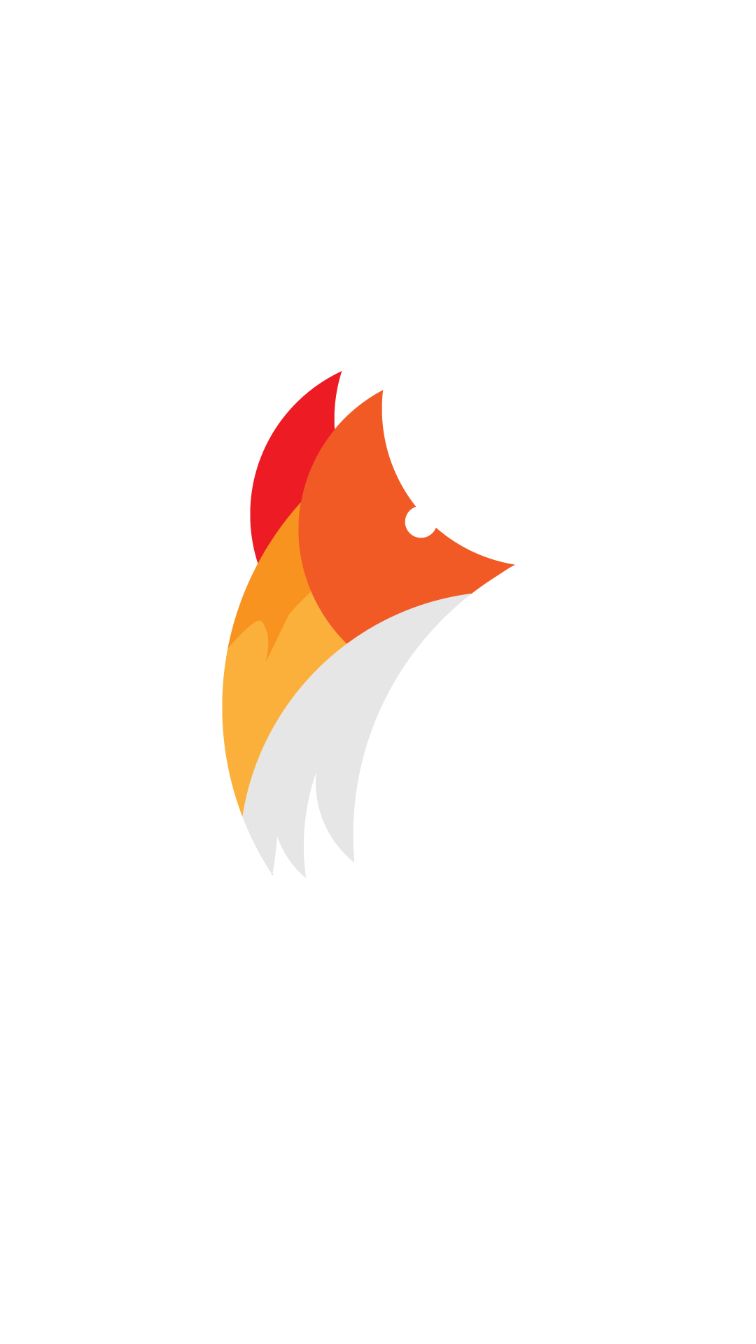 Owl Illustration