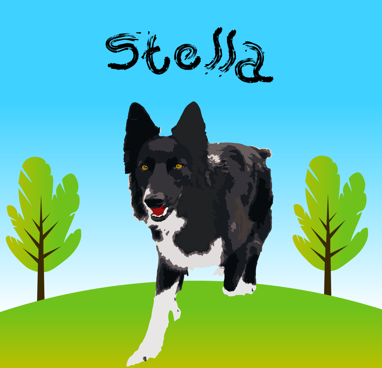 Stella Project